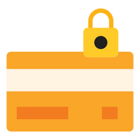 100% Secure Checkout